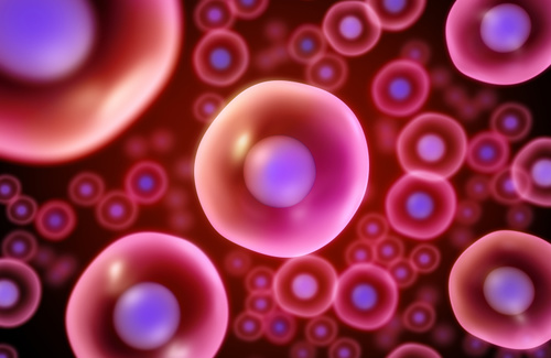 Caratteristiche e potenzialità delle cellule staminali