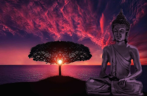 La Saggezza della Meditazione - Jamgon Kongtrul Rinpoche